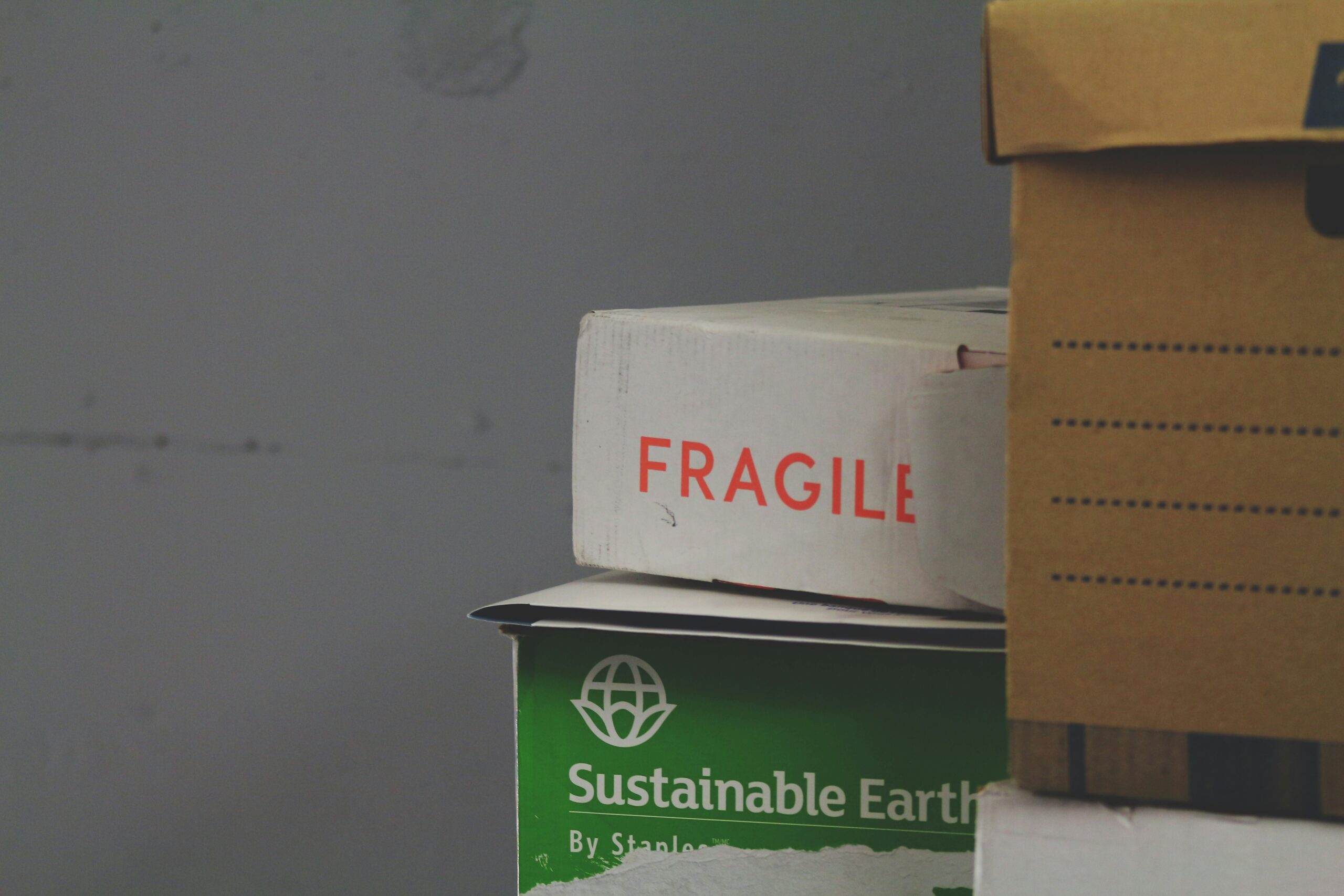 Revolutionizing E-commerce: The Importance of Sustainability-Focused Packaging