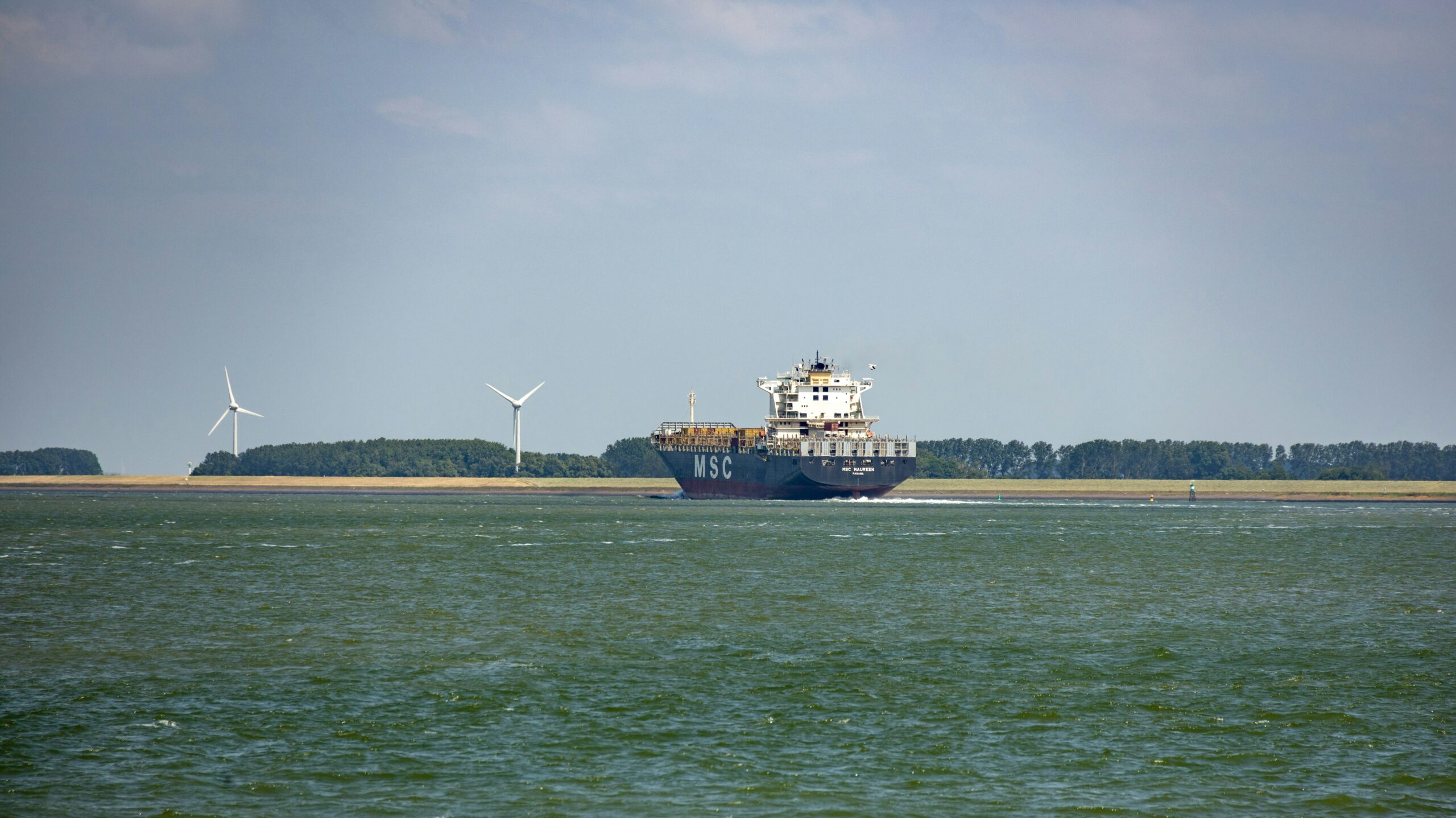 Navigating the Future: Carbon-Neutral Shipping Strategies