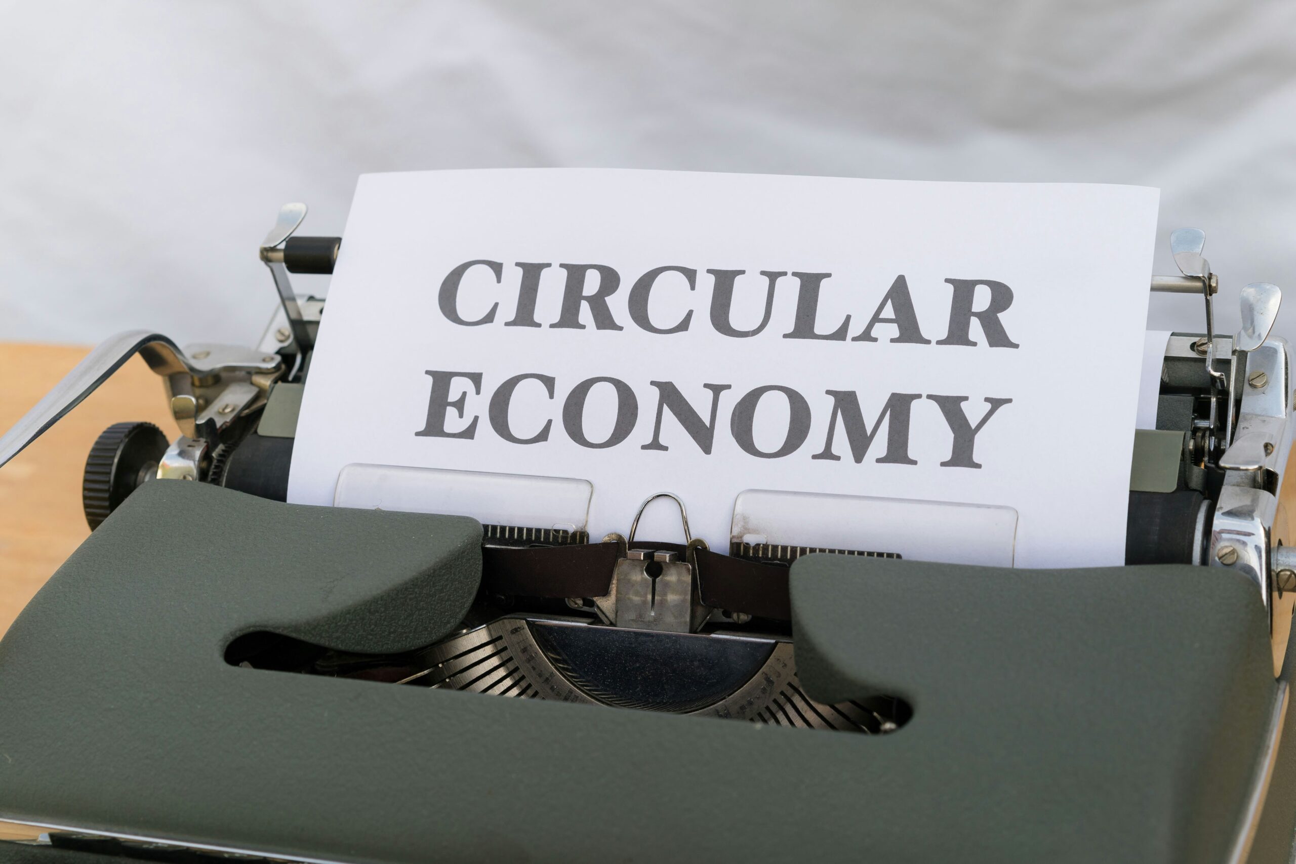 Exploring Circular Economy Models in Online Retail: A Sustainable Future