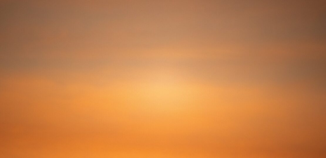 photo-1699944532329-a283894276b7